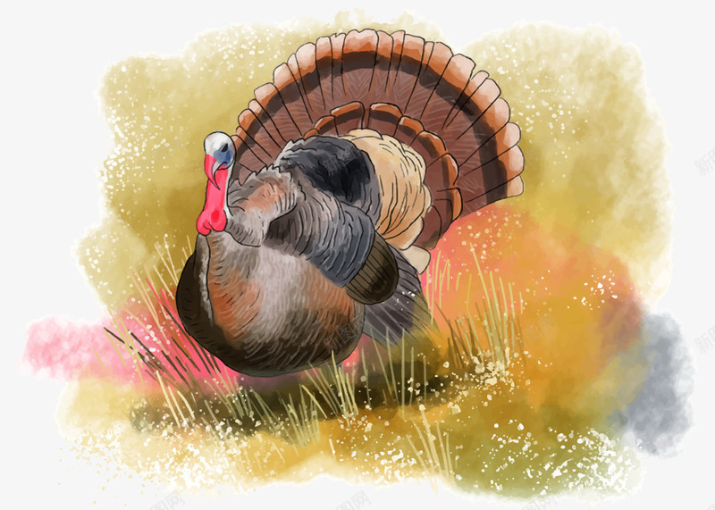 感恩节水彩火鸡png免抠素材_新图网 https://ixintu.com Thanksgiving 感恩节 感恩节快乐 感谢 水彩画 火鸡