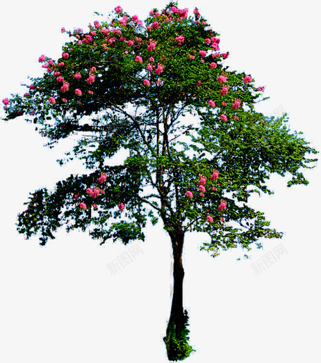 粉色花朵绿叶大树装饰png免抠素材_新图网 https://ixintu.com 大树 粉色 绿叶 花朵 装饰