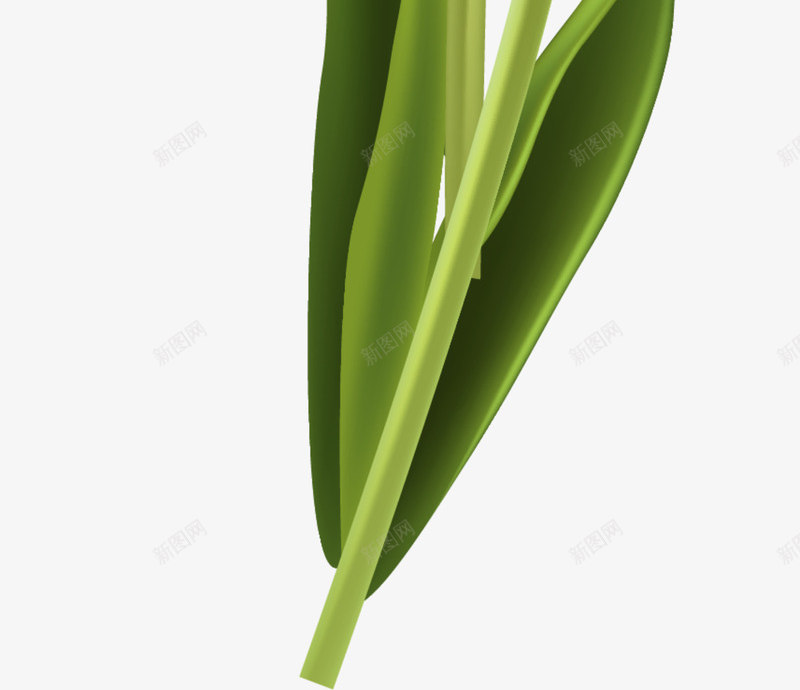 春暖花开红色郁金香png免抠素材_新图网 https://ixintu.com 春季 春暖花开 红色花朵 红色郁金香 绿色叶子 美丽郁金香