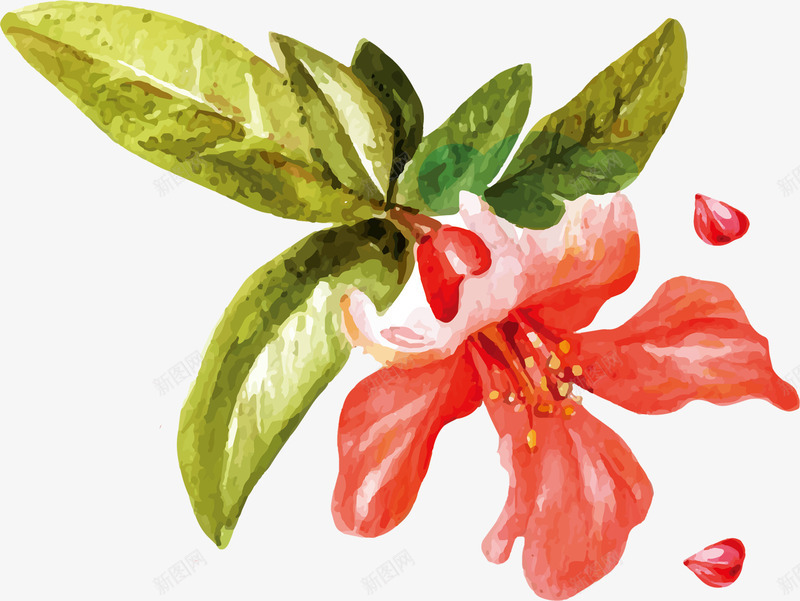 水墨花朵和凋落的花瓣png免抠素材_新图网 https://ixintu.com 凋落 叶子 手绘 美丽的 花卉 花朵 花瓣 装饰