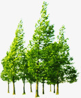 绿树景观大树植物公园png免抠素材_新图网 https://ixintu.com 公园 大树 景观 植物 绿树