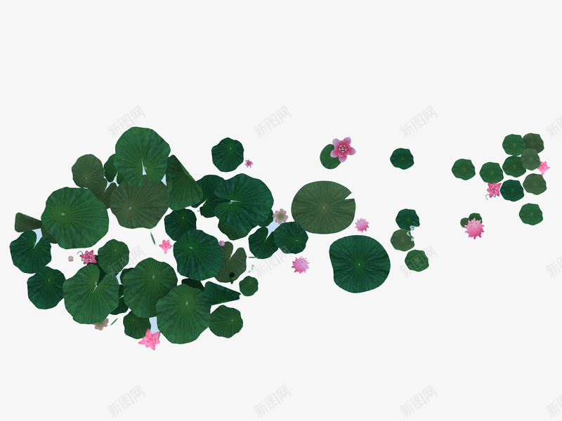 漂浮荷花荷叶png免抠素材_新图网 https://ixintu.com 夏日 小清新 平面 竹子荷花荷叶满池塘 荷花