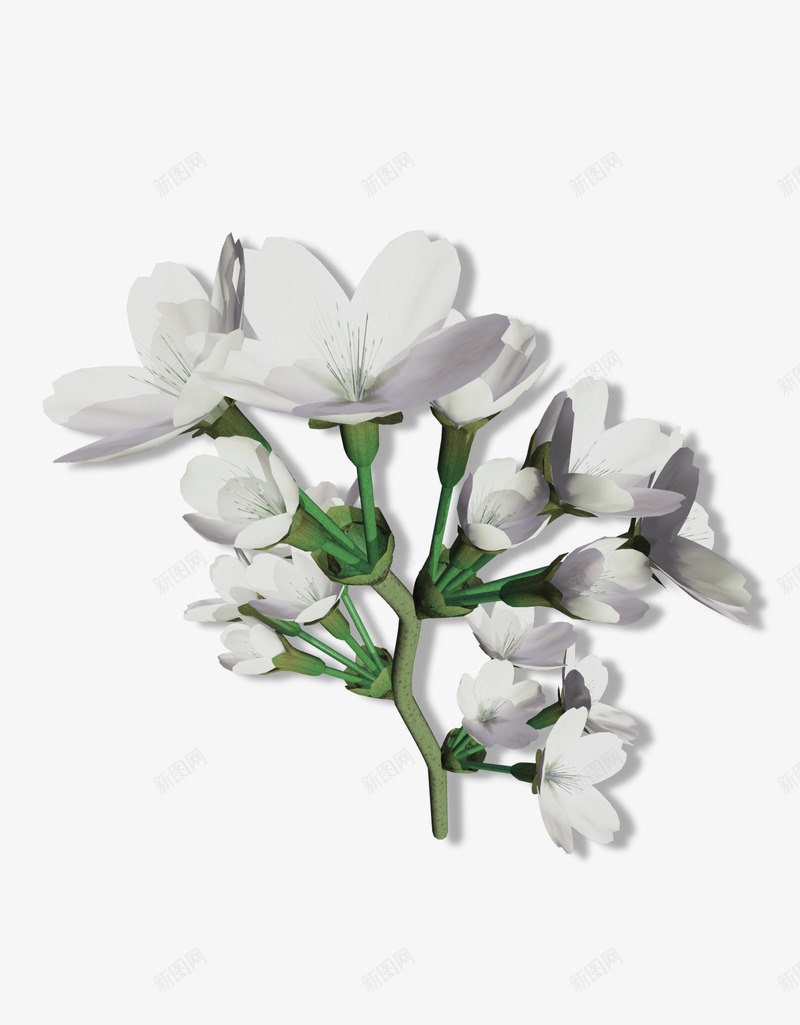 银色花花图png免抠素材_新图网 https://ixintu.com 冬季 圣诞节 圣诞节PNG图 圣诞节素材 圣诞节素材图片 圣诞节装饰 小挂件 节日素材 装饰 配饰