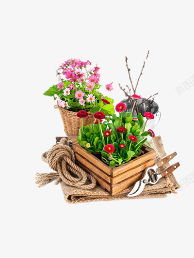 花卉png免抠素材_新图网 https://ixintu.com 修枝剪 剪刀 园艺工具 美丽鲜花 花朵花卉 铁锹