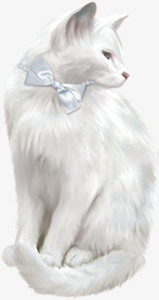 猫咪png免抠素材_新图网 https://ixintu.com 动物 小猫 流浪猫 猫 猫咪 白猫