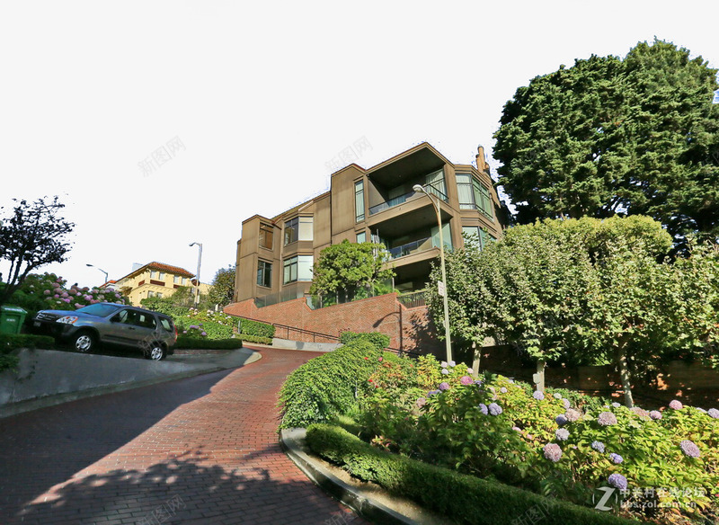 旧金山九曲花街街景png免抠素材_新图网 https://ixintu.com 九曲花街 名胜古迹 图片 地方景点 大树 实物图 摄影图 旧金山 汽车 自然景观 高清图片