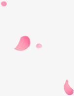 白色花瓣漂浮花瓣png免抠素材_新图网 https://ixintu.com 漂浮 白色 花瓣