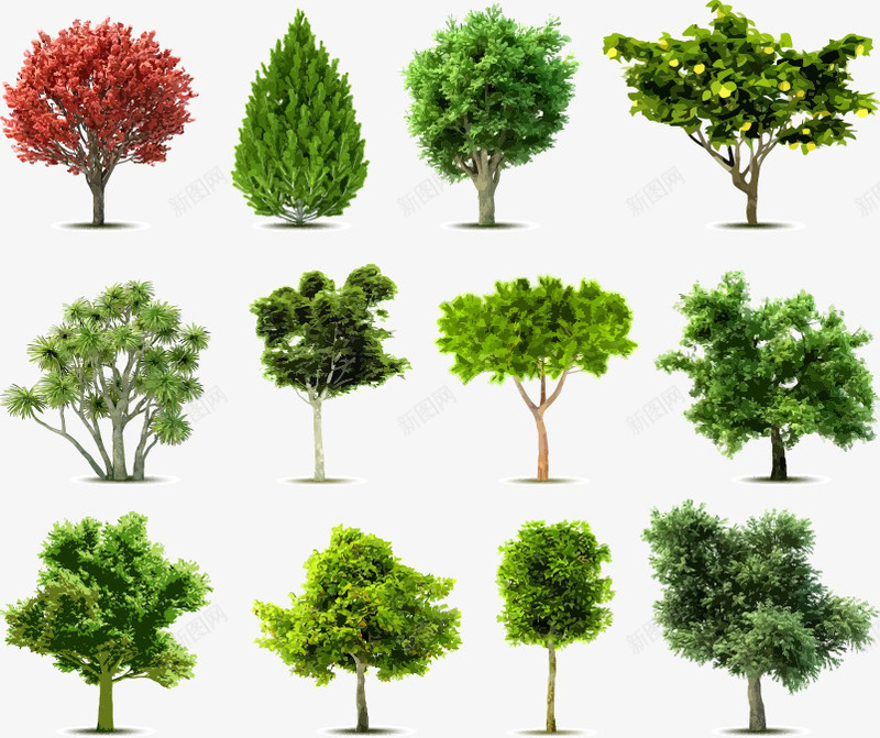 手绘绿色植物大树图案矢量图ai免抠素材_新图网 https://ixintu.com 图案 大树 手绘 植物 绿色 矢量图