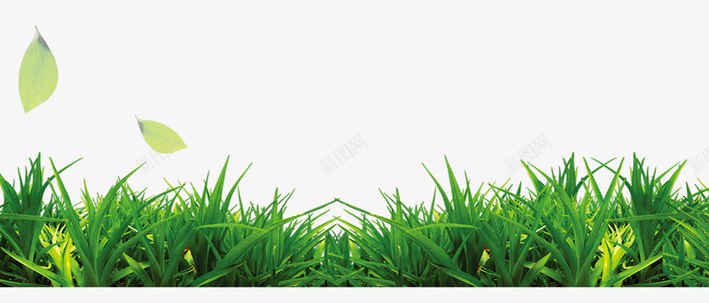 草丛psd免抠素材_新图网 https://ixintu.com 乡间小草 小草 树叶 草丛