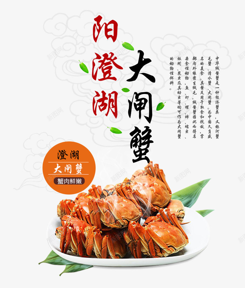 阳澄湖大闸蟹海报排版psd免抠素材_新图网 https://ixintu.com 中国风海报排版 大闸蟹 漂浮树叶