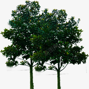 绿色大树草本植物png免抠素材_新图网 https://ixintu.com 大树 绿色 草本植物