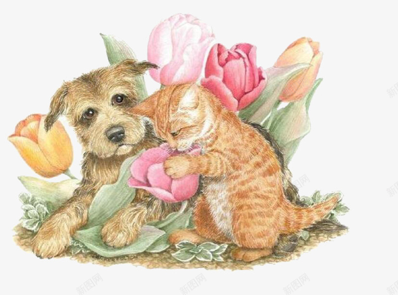 猫咪和狗狗png免抠素材_新图网 https://ixintu.com 创意 卡通 手绘 狗狗 猫咪