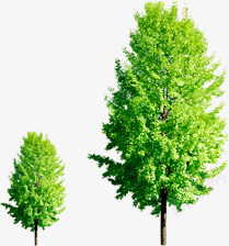 绿色春天大树植物绿化美景png免抠素材_新图网 https://ixintu.com 大树 春天 植物 绿化 绿色 美景