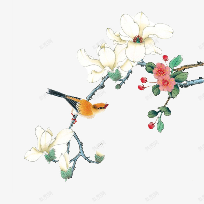 花鸟图png免抠素材_新图网 https://ixintu.com 中国风 小鸟 白色 花朵 花鸟图