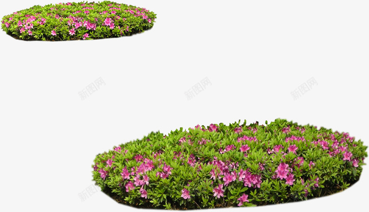 粉色小花景观草坪装饰png免抠素材_新图网 https://ixintu.com 景观 粉色 草坪 装饰