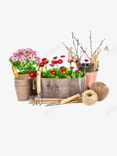 花卉png免抠素材_新图网 https://ixintu.com 修枝剪 剪刀 园艺工具 美丽鲜花 花朵花卉 铁锹