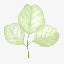 绿色纹理树叶植物元素矢量图素材