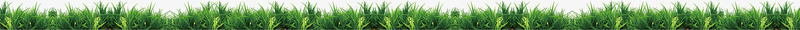 草坪底部bannerpng免抠素材_新图网 https://ixintu.com banner 底部 草坪