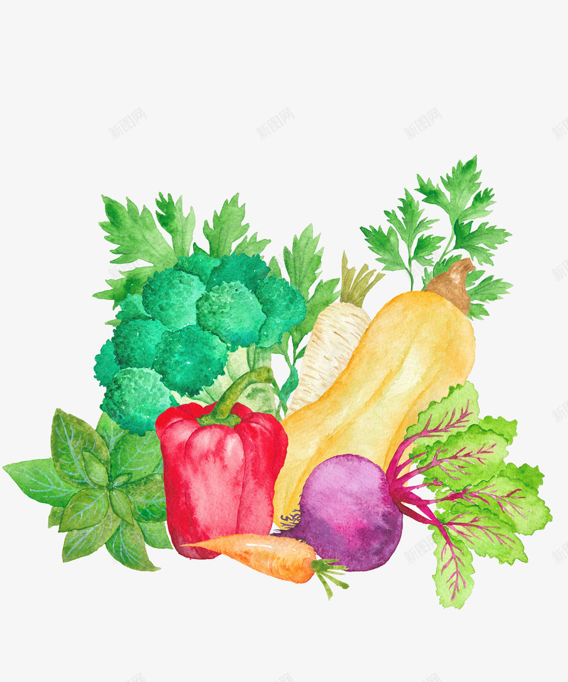 南瓜辣椒花菜手绘蔬菜png免抠素材_新图网 https://ixintu.com 南瓜 南瓜辣椒花菜手绘蔬菜 卡通 手绘 花菜 蔬菜 辣椒