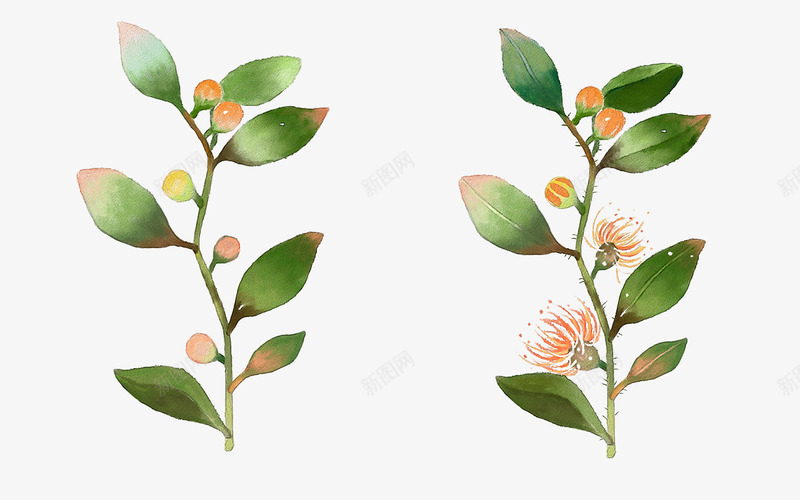 绿色植物上开花展示png免抠素材_新图网 https://ixintu.com 创意 卡通 叶子 商务 开花 手绘 简约 绿色 设计