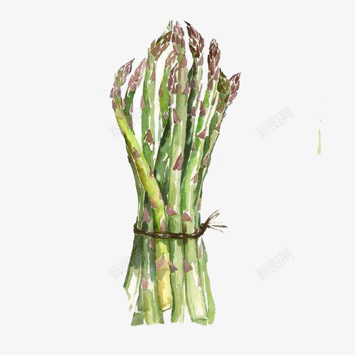 蒜苗手绘画片png免抠素材_新图网 https://ixintu.com 手绘色彩画 绿色 蒜苗 蔬菜