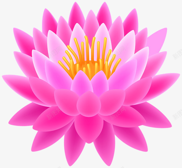 莲花粉红卡通png免抠素材_新图网 https://ixintu.com 植物 美丽 花朵 莲花