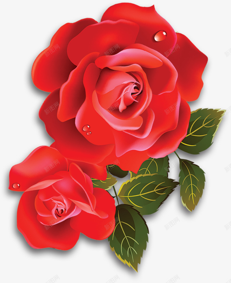 红色美丽水滴玫瑰花png免抠素材_新图网 https://ixintu.com LOVE 婚庆 情人节 浪漫 玫瑰花 花朵 装饰图案 鲜花