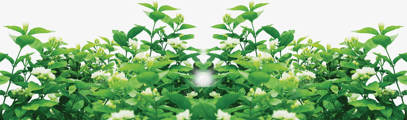 踏青春日郊外小草png免抠素材_新图网 https://ixintu.com 春日 踏青 郊外