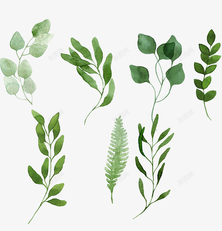 手绘小草树叶png免抠素材_新图网 https://ixintu.com 卡通 手绘小草 手绘树叶 植物 绿叶 绿植 绿色 草