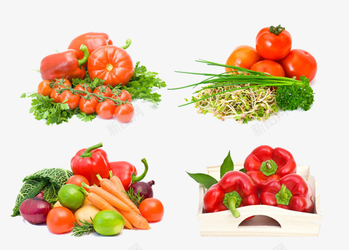一堆蔬菜png免抠素材_新图网 https://ixintu.com 番茄 萝卜 西红柿 青菜 食材矢量素材 食物