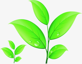 卡通绿色萌芽毕业季png免抠素材_新图网 https://ixintu.com 卡通 毕业 绿色 萌芽