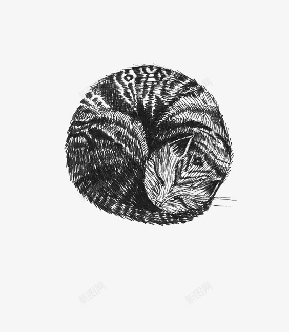 素描猫咪png免抠素材_新图网 https://ixintu.com 宠物猫 小猫咪 手绘猫咪 蜷缩 黑色猫咪