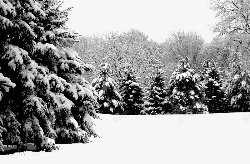 雪地森林矢量图ai免抠素材_新图网 https://ixintu.com 卡通森林 扁平化森林 森林 森林景色 森林美景 雪地 矢量图