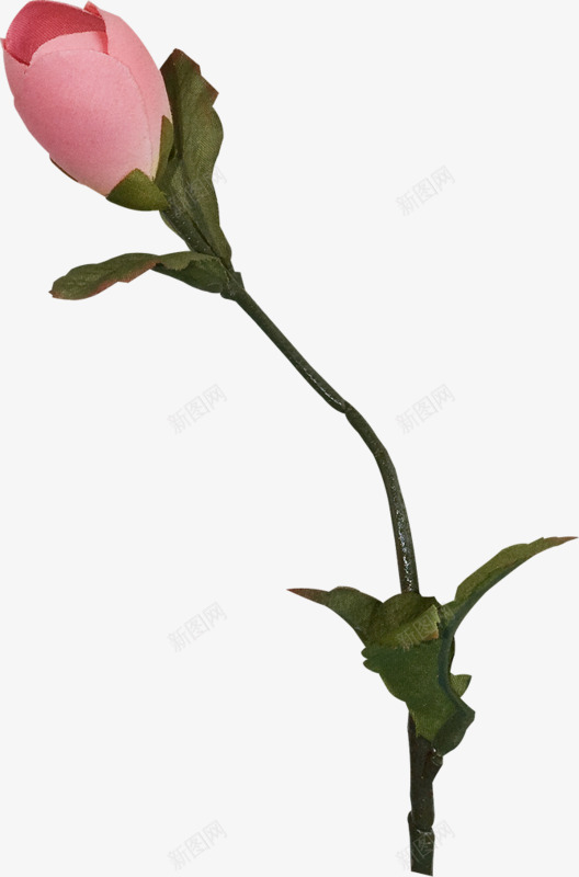 一朵小粉花png免抠素材_新图网 https://ixintu.com 卡通 好看 美丽 花朵