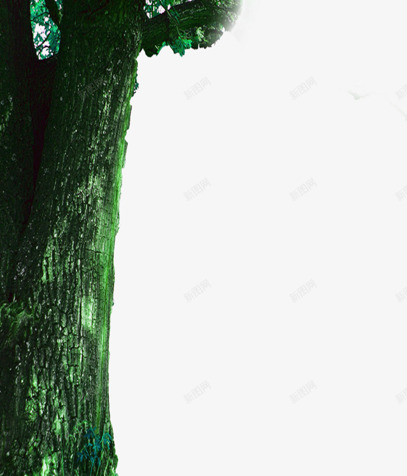 绿色大树png免抠素材_新图网 https://ixintu.com 大树 树干 粗壮 绿色