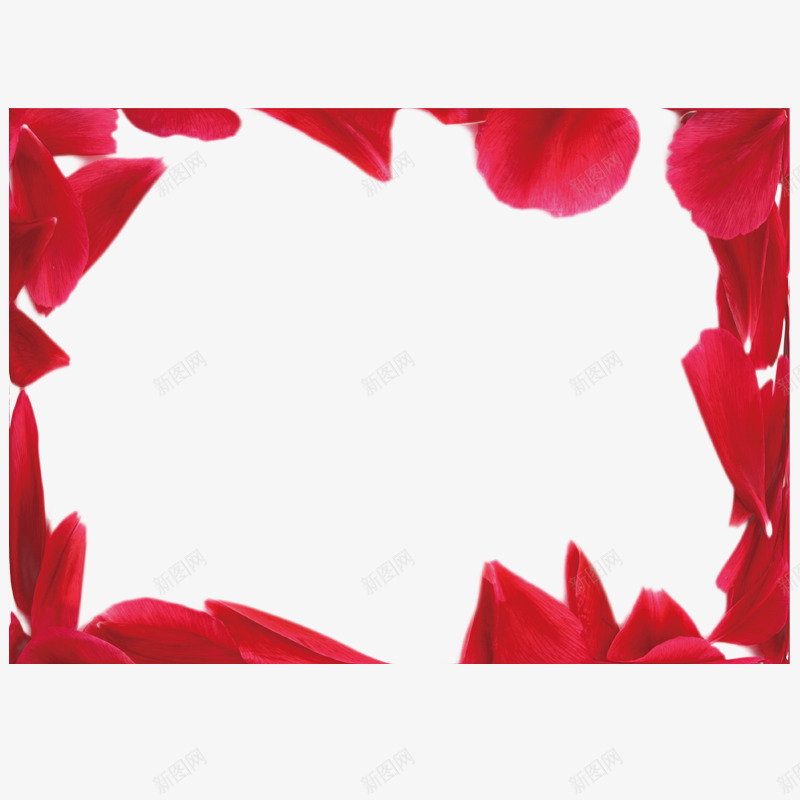 红色花瓣边框png免抠素材_新图网 https://ixintu.com 漂浮 漂浮着的花瓣 红色边框 花瓣 花瓣边框