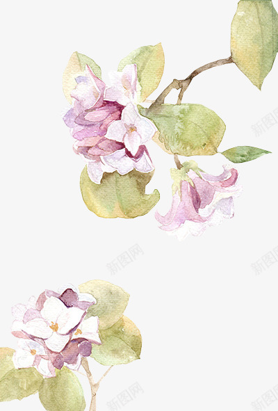 粉色可爱手绘美丽花朵png免抠素材_新图网 https://ixintu.com 可爱 粉色 美丽 花朵