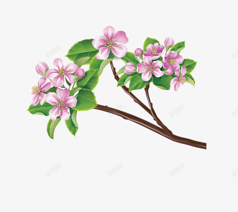 粉色桃花枝干手绘图png免抠素材_新图网 https://ixintu.com 叶子 手绘图 桃花 美丽的 花卉 花朵 花瓣 装饰