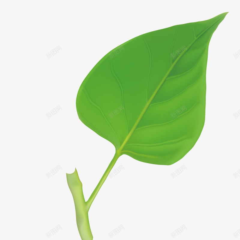 绿色植物树叶矢量图ai免抠素材_新图网 https://ixintu.com 叶子 展示 手绘 植物叶子 模型 绘画 草叶 矢量图