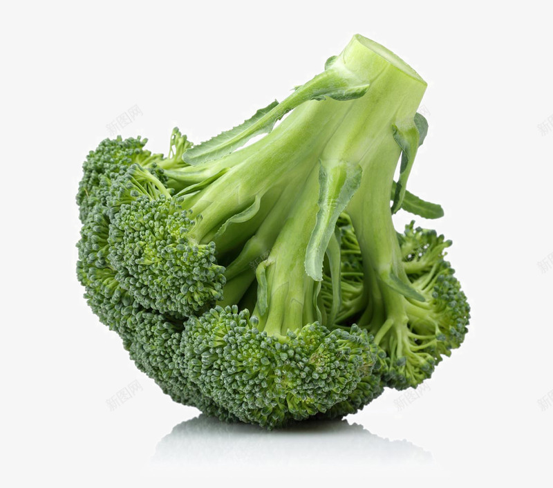 切好的西兰花png免抠素材_新图网 https://ixintu.com 切好的西兰花 美食 美食图片 蔬菜 蔬菜食物 西兰花 食物美食