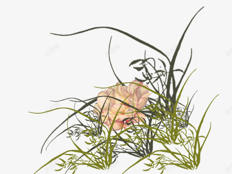 手绘兰花草psd免抠素材_新图网 https://ixintu.com 中国风 兰花草 手绘 手绘兰花草 民族风 漂浮