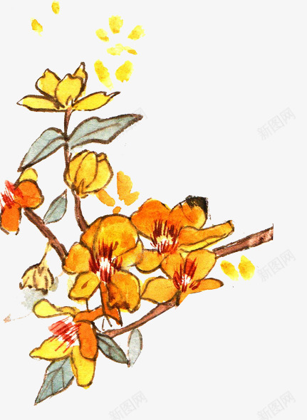 手绘枇杷花png免抠素材_新图网 https://ixintu.com 免扣 国画 手绘 枇杷 枇杷花 漂浮 背景 装饰