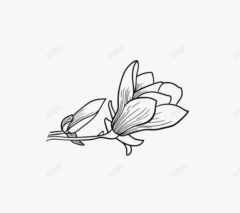 盛开的桃花简笔画png免抠素材_新图网 https://ixintu.com 盛开的 简笔画 美丽的 花卉 花朵 花瓣 装饰