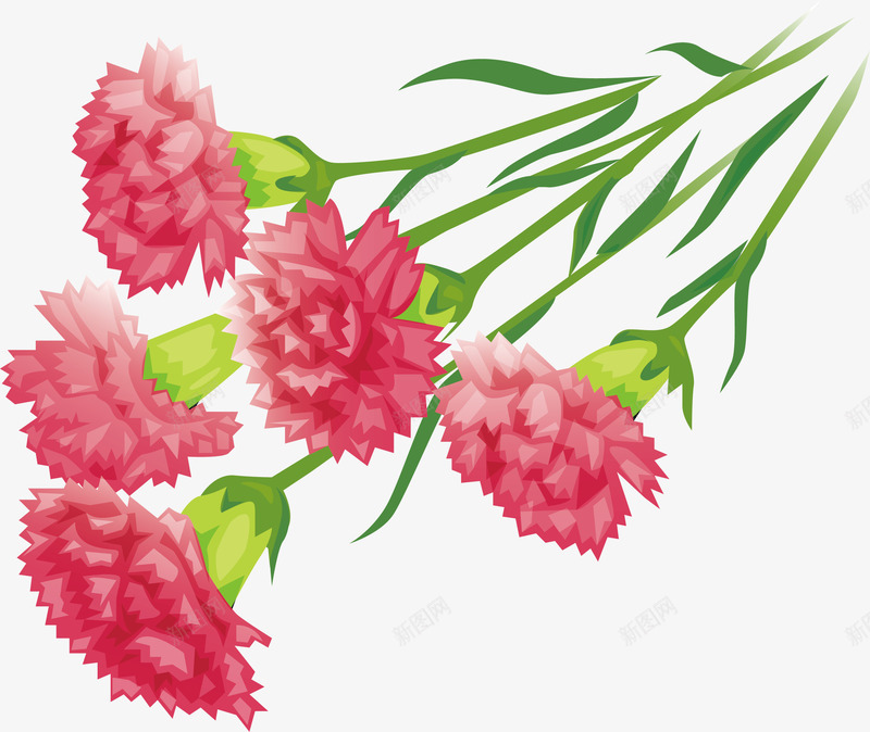 康乃馨矢量图ai免抠素材_新图网 https://ixintu.com 感恩节 手绘 花枝 矢量图