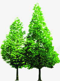 春天绿色茂密大树风景png免抠素材_新图网 https://ixintu.com 大树 春天 绿色 茂密 风景