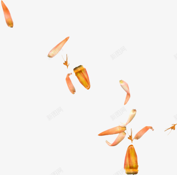 黄色花瓣花蕊图png免抠素材_新图网 https://ixintu.com png图 花瓣漂浮 黄色花瓣花蕊图