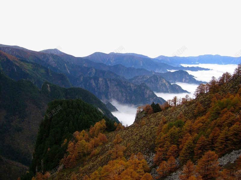 秋季太白山间的云海png免抠素材_新图网 https://ixintu.com 云海 国家森林公园 太白山 山峰 山脉 山间 旅游景区 森林 秋季 自然