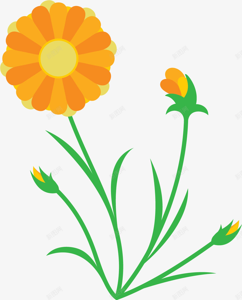 绿草卡通金盏花png免抠素材_新图网 https://ixintu.com 扁平风格 矢量金盏花 绿草 美丽的金盏花 花卉 花朵