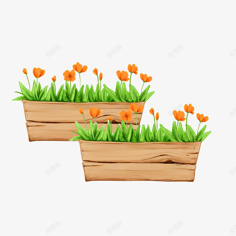 种在木盆里的花png免抠素材_新图网 https://ixintu.com 木盆 美丽的花 花 花朵 鲜花