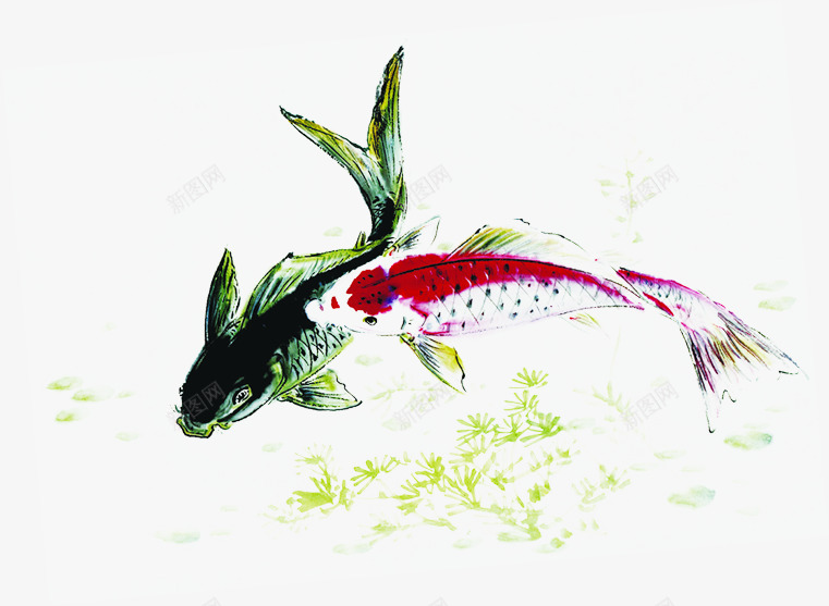 水墨小鱼水草美景png免抠素材_新图网 https://ixintu.com 水墨 水草 美景